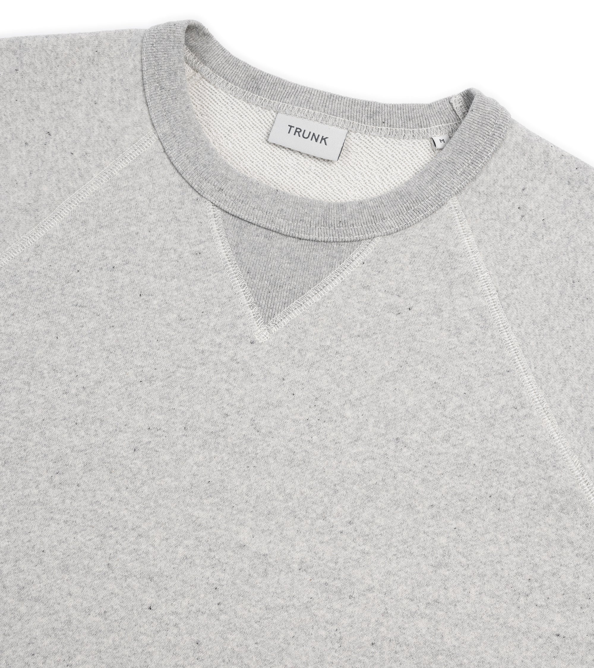 Trunk Cooper cotton crew neck sweatshirt in grey, back view.